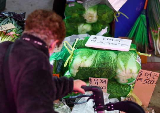 정부가 설 연휴를 앞두고 농산물 가격 안정을 위해 배추, 무 등 농산물 1만1000톤을 시장에 공급하기로 한 가운데, 13일 서울 시내 한 전통시장에서 소비자가 배추를 살펴보고 있다. 연합뉴스